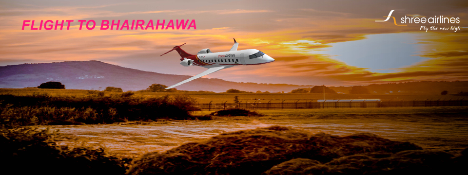 A Shree Airlines Flight to Bhairahawa: From Sky to Serenity